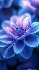 Blue and Pink Flower Close-up with Soft Lighting