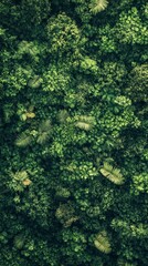 Dense Green Vegetation Overhead View Lush Natural Background