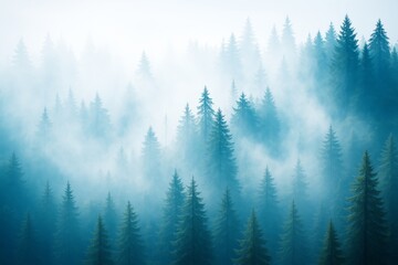 Fototapeta premium Misty pine forest with ethereal light and fog covering tall evergreen trees in calm natural landscape. Background travel nature concept scene.