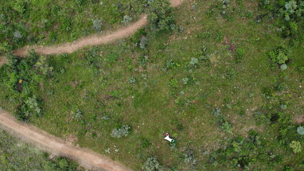 Lush Groundcover and Grasses in Walter Sisulu Botanical Garden