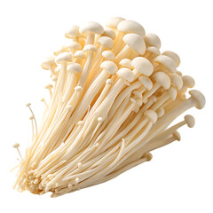 A whole single enoki mushroom cluster isolated on a transparent background