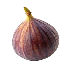 A whole single fig fruit isolated on a transparent background