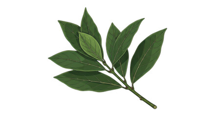 Green leafy branch isolated on transparent background