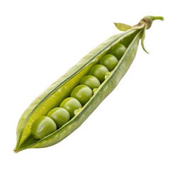 A whole single green mung bean pod isolated on a transparent background