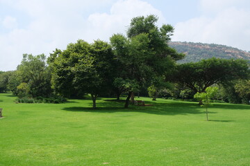 Scenic Landscape of Walter Sisulu Botanical Garden with Acacia Trees