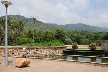Serene Aloe Barberae in Walter Sisulu Botanical Garden