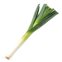 A whole single leek stalk isolated on a transparent background