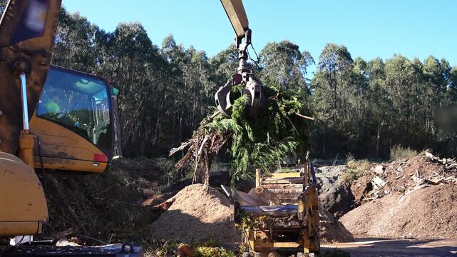 Slow motion video of an excavator loading a wood chipper with tree branches for biomass production and pallet recycling