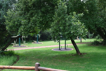 Serene Tree in Walter Sisulu National Botanical Garden