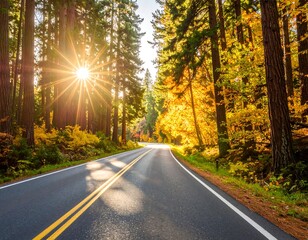 Obraz premium Sunny autumn road through tall trees