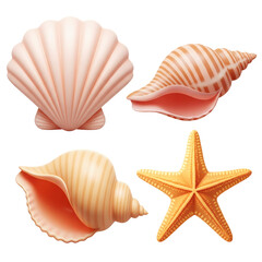 3D seashell collection isolated on transparent background, PNG file add