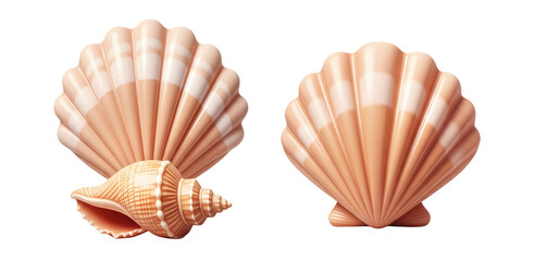 3D seashell icon set isolated on transparent background, PNG file add