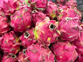 Red dragon fruit from local farm
