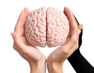 Black and White Hands Holding Human Brain, Center Composition, Modern Collage Style, Transparent Background