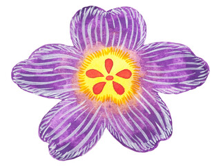 purple violet flower japanese pattern vintage retro style nature floral blossom plant petal leaf icon logo sign symbol art design illustration watercolor painting white isolated background decoration