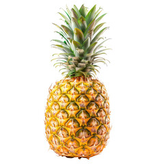 Close-up of a whole pineapple.  Bright yellow, textured skin with many small, diamond-shaped protrusions.  Green crown of fronds atop