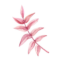 Beautiful watercolor illustration of a branch with pink leaves. Element for elegant decor.