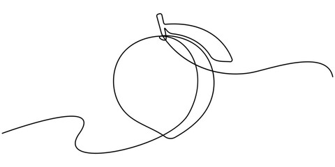 Peach fruit in continuous line art drawing style. Simple black sketch made of one line isolated on white background, Apricot vector illustration. One line drawing art illustration. 