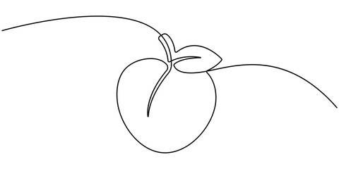 Peach fruit in continuous line art drawing style. Simple black sketch made of one line isolated on white background, Apricot vector illustration. One line drawing art illustration. 