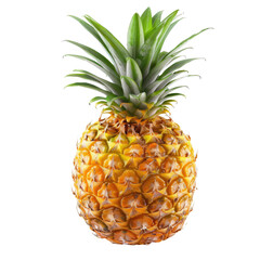 Ripe pineapple, vibrant yellow-gold skin, bright green leaves (1)