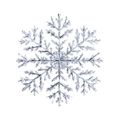 A highly detailed and intricate snowflake, with each delicate branch forming its own unique pattern, isolated on a white background