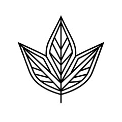 black and white leaf