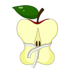 Vector half of red apple with measuring tape. Slim system concept. Half of apple isolated transparent perfect ads and weight loss branding logo. EPS 10