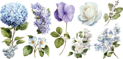 Adobe Illustrator Artwork Watercolor floral bouquet illustration set. Hydrangea myosotis rose peony blue white flowers, green leaves branches collection