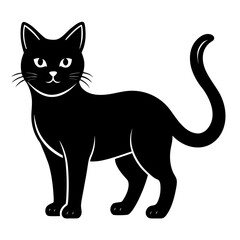 black cat vector illustration