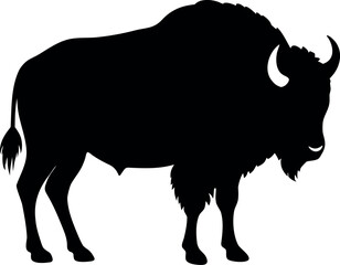 american bison vector illustration