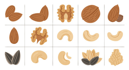 Assortment of Nuts: A captivating illustration presenting a variety of nuts, carefully arranged to highlight their unique shapes, textures, and colors. perfect for food and diet themes.