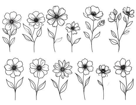 Collection of simple line art flowers