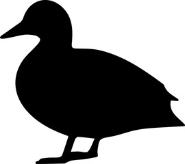 Single duck illustration on white background in a simple and clean style