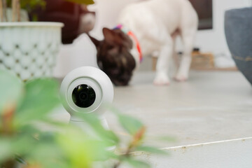 Compact indoor HD security camera rests on the balcony of the house