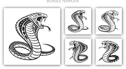 Snake vactor bundle Collections