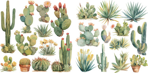 cactus watercolor clipart © dian's