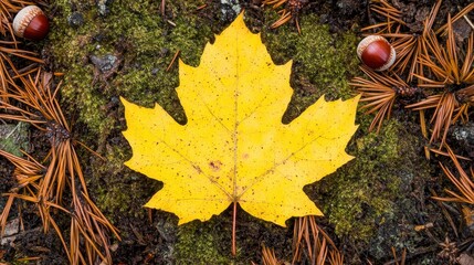 Vibrant Yellow Maple Leaf on Forest Floor Surrounded by Nature Elements