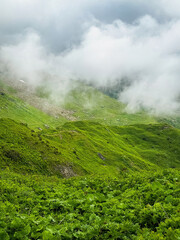 Low clouds over the mountains, vertical view