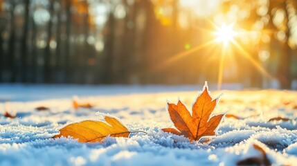 Winter Scene with Colorful Leaves on Snow at Sunrise Glow
