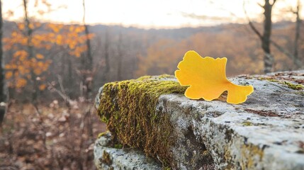 Yellow Leaf on Mossy Rock with Autumn Background in Nature Scene
