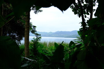 Lush Vegetation Surrounding Lake Bosomtwe in Ghana