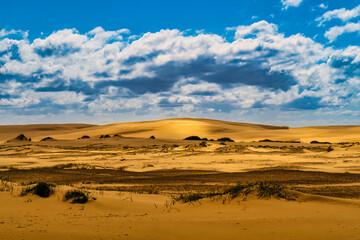 Desert Serenity