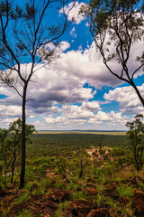 Australian Outback Vista