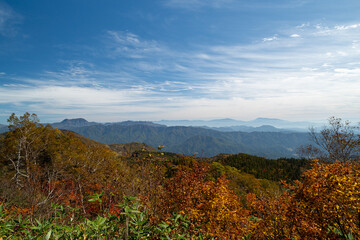 美しい紅葉　栂池高原