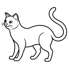 standing cat vector illustration isolated on white background