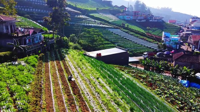 Nepal Van Java, located in Butuh Hamlet, on the slopes of Mount Sumbing, Magelang Regency, Central Java, has a unique view of the residents' houses arranged neatly and colorfully on the hillside, simi