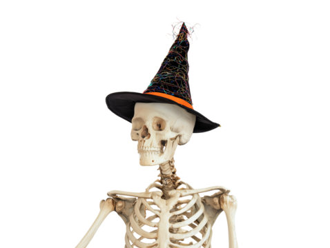 Golden human skeleton in a witch's hat isolated on transparent or white background, png