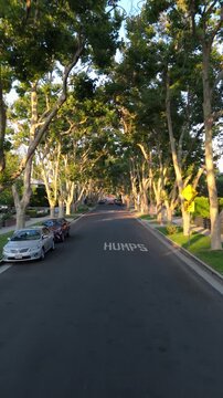 Vertical drone shot of residential street with green trees