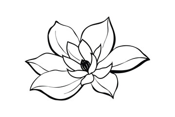 A black and white design illustration of a magnolia flower.eps