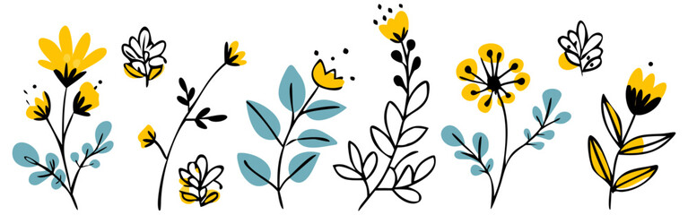 Botanical floral flower leaf plant nature garden spring summer bloom blossom wildflower drawing design art on transparent background